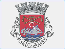 Autocolantes - Vinil